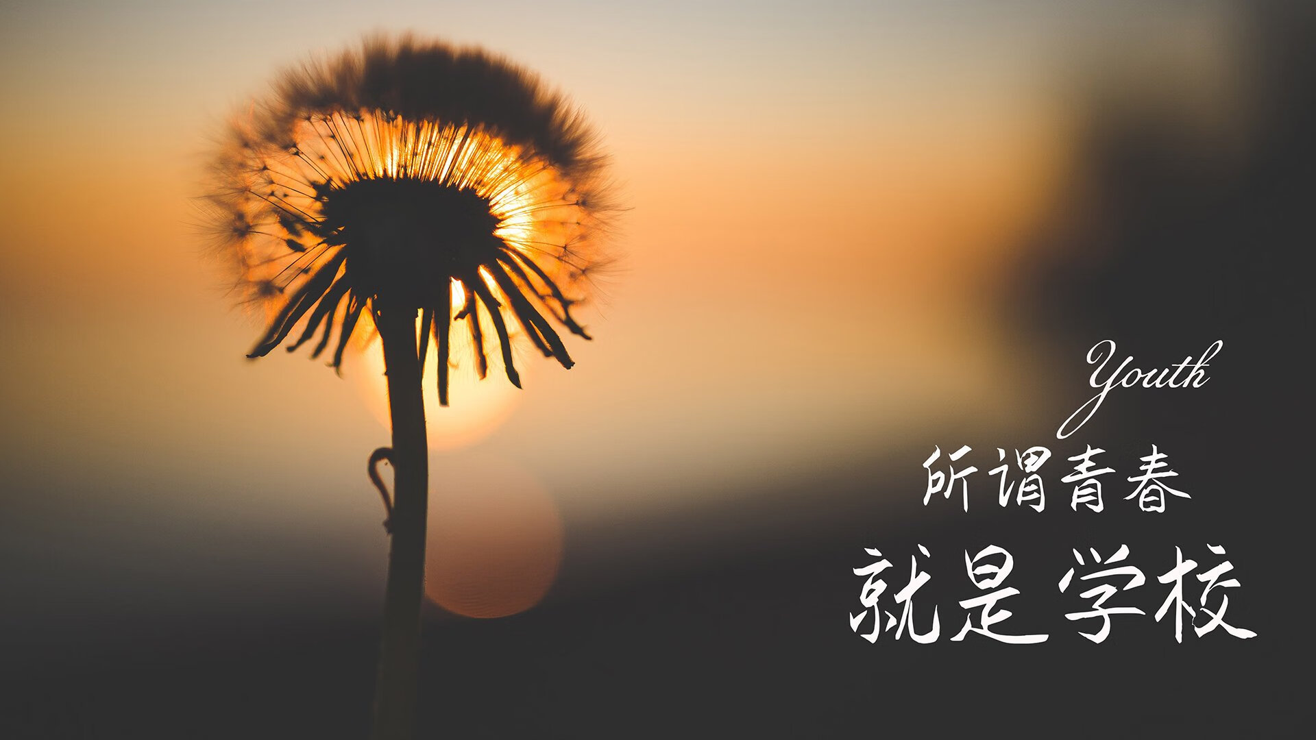 fb体育app官网-全国青少年足球“智慧成长档案”正式上线，科研赋能评估体系，全国青少年足球示范校