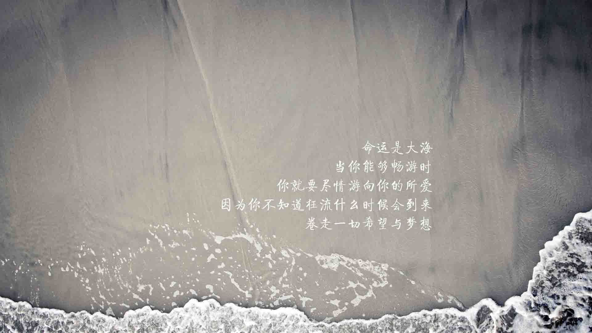 FB体育入口-篮球裁判技术培训纳入人工智能辅助，篮球裁判员培训教程