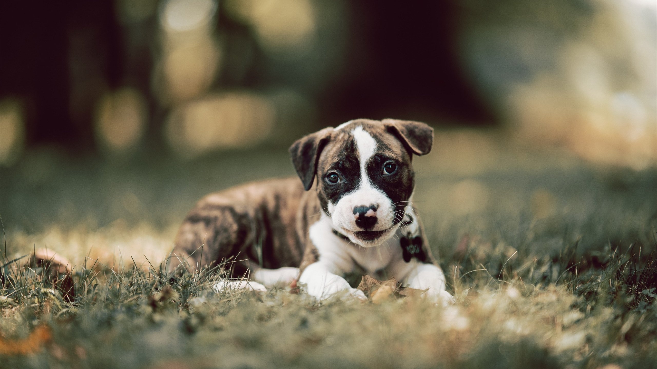 FB体育注册网址-利物浦遭遇劲敌，欧冠前路任重道远，利物浦欧冠出线了吗