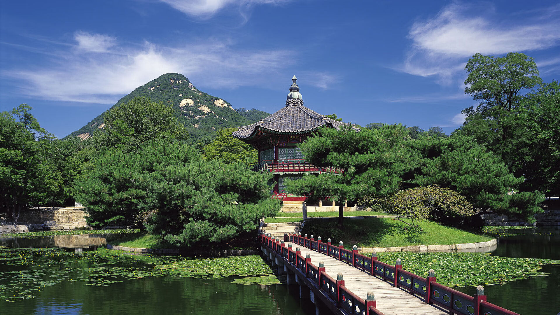 FB体育官网平台-国足绝佳表现,成功进军国际赛八强,国足挺进八强