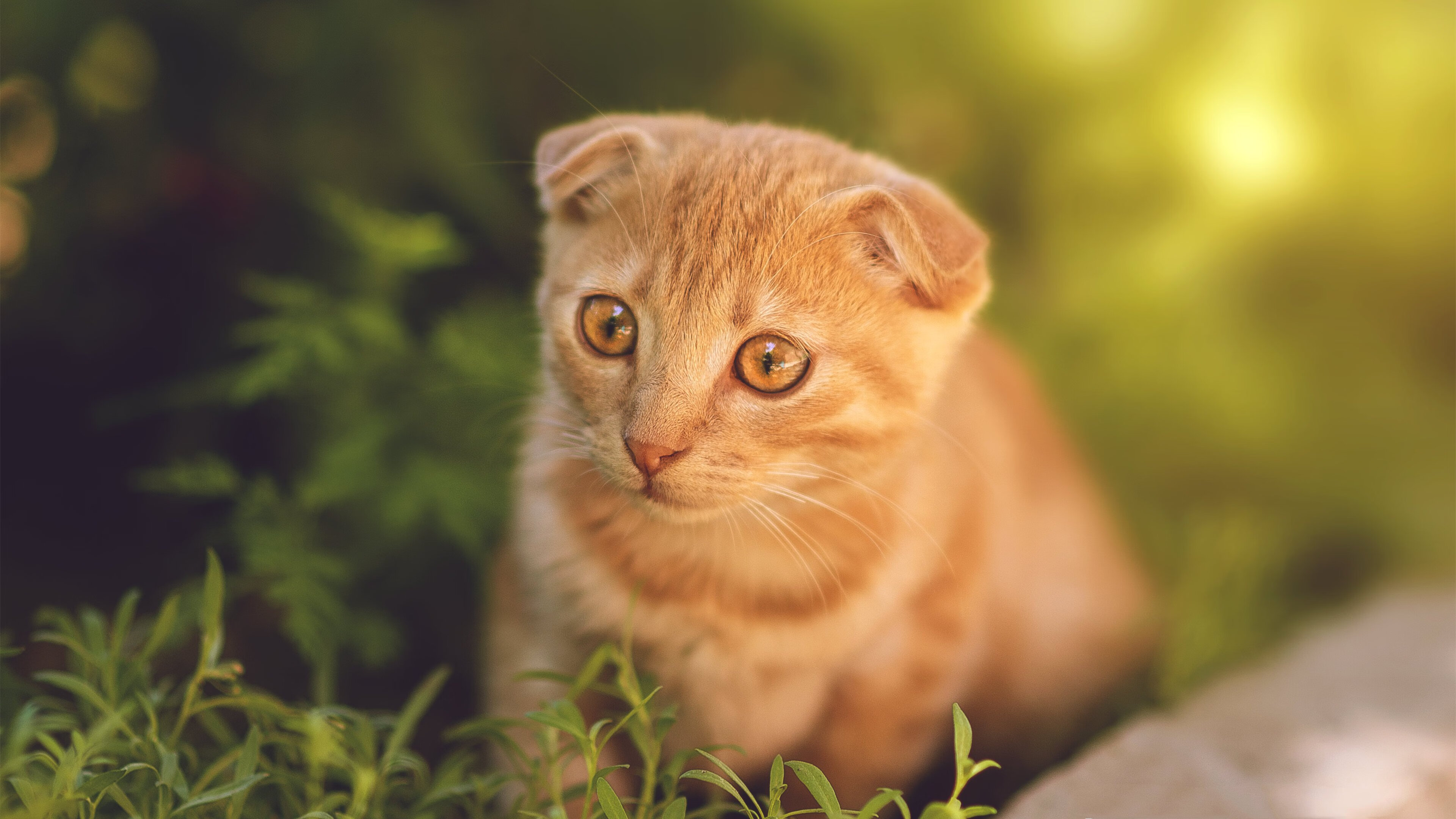 fb体育中国-惊天逆转：落后翻盘，实力超乎想象，惊天逆转最后捡走u盘的人是谁