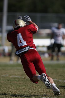 FBSPORTS-NBA球队防守体系深度剖析，nba的防守强队