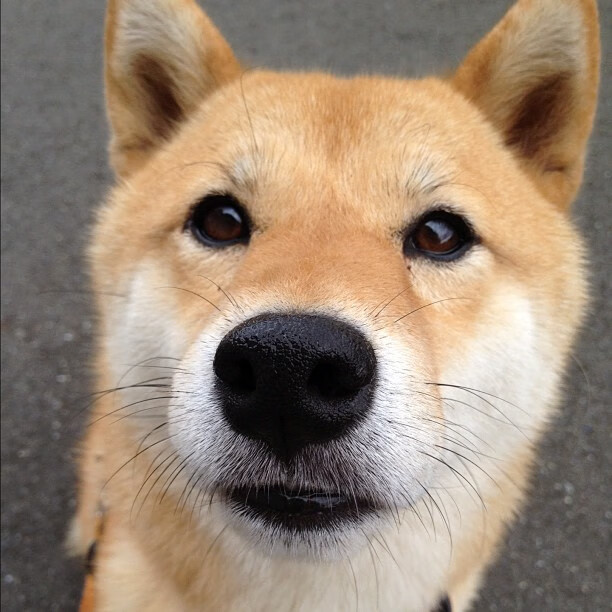 FB体育在线-体育市场发展前景分析，体育行业的市场分析