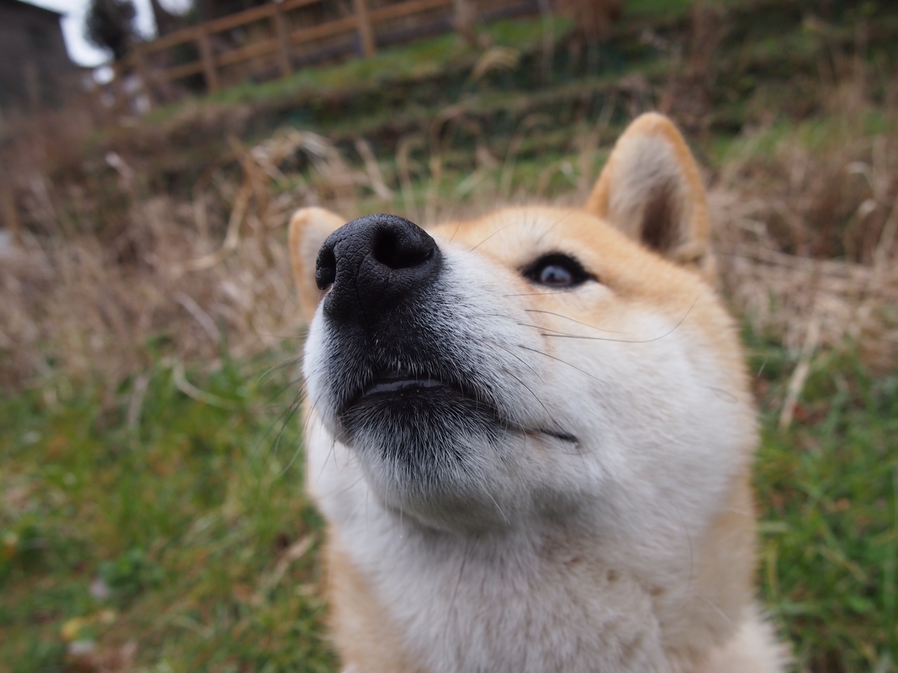 fb体育app官网-体育赛事数字化管理系统建设，体育数字化平台