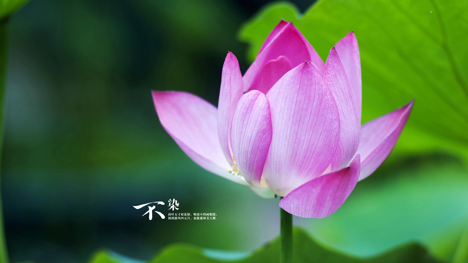 FB体育入口-西甲教练组使用语言建模识别球员临场战术理解偏差趋势