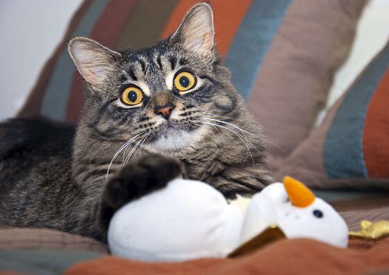 fb体育app官网-青少年运动损伤防护教育机制研究与实践,青少年运动损伤的原因有哪些