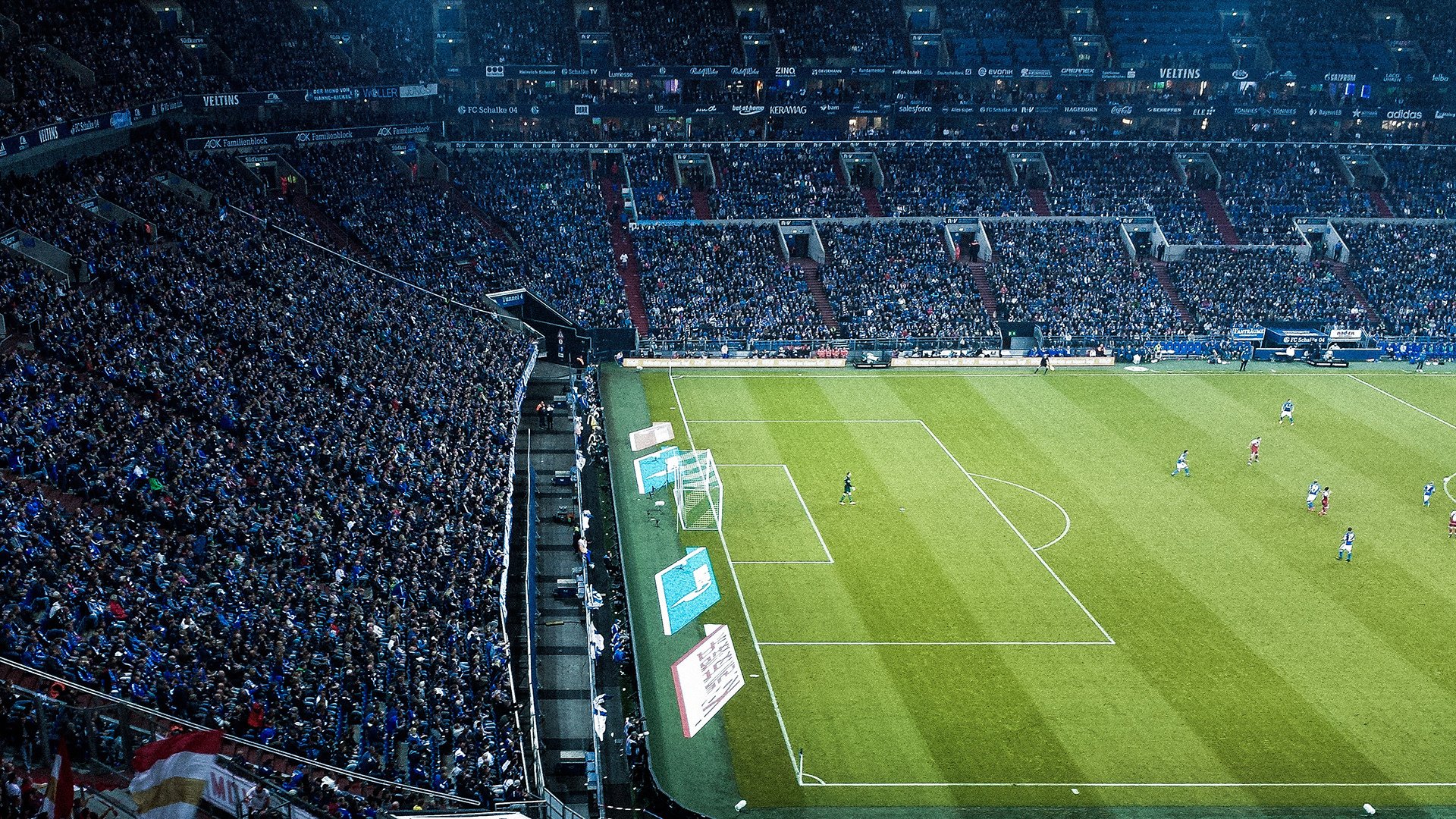 多样化赛事频道-广州Tigers主场完胜，赢得球迷热烈掌声，广州队的主场在哪儿